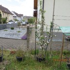 Garten 2023